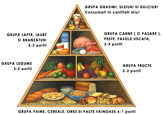 piramida alimentatiei umane